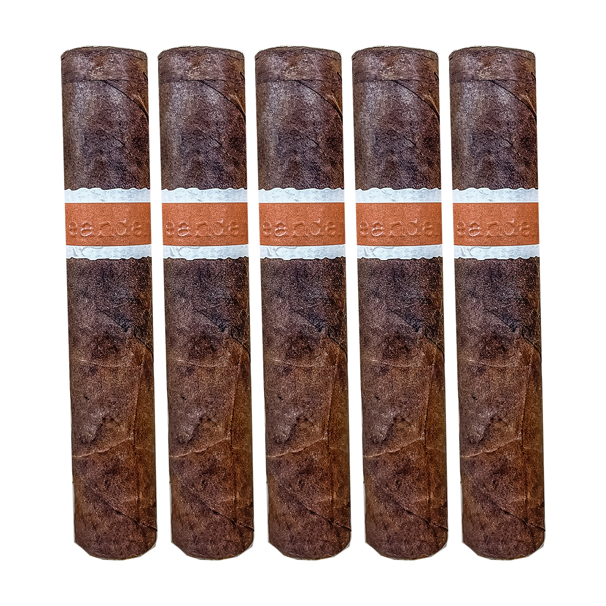 Neanderthal HoxD Petite Corona Cigar - 5 Pack